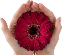 Восстановление ресурса