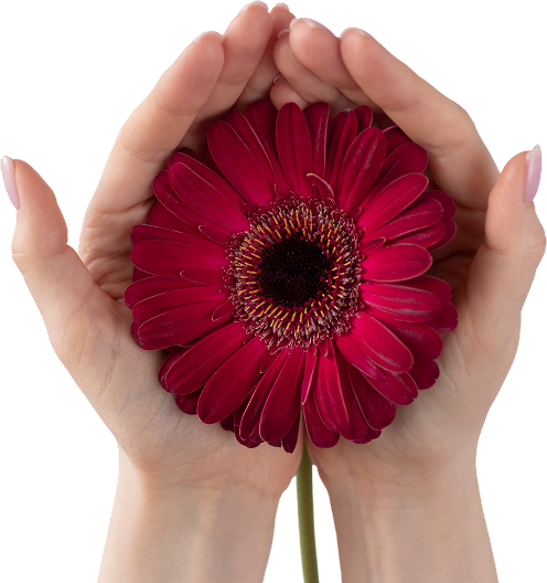  “Восстановление ресурса